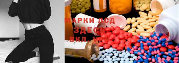 ГАЛЛЮЦИНОГЕННЫЕ ГРИБЫ Бородино