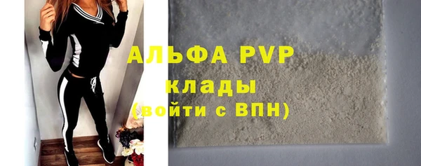 ГАЛЛЮЦИНОГЕННЫЕ ГРИБЫ Бородино
