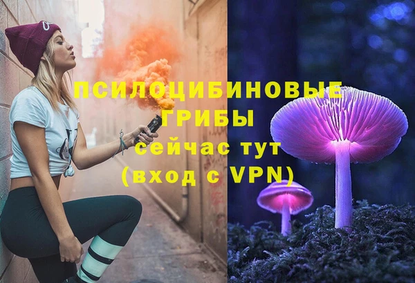 ALPHA-PVP Бугульма