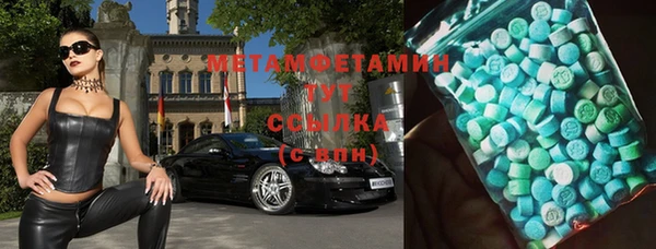 ГАЛЛЮЦИНОГЕННЫЕ ГРИБЫ Бородино