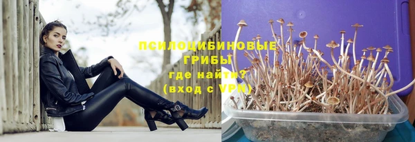 ALPHA-PVP Бугульма