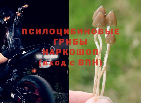 ГАЛЛЮЦИНОГЕННЫЕ ГРИБЫ Бородино
