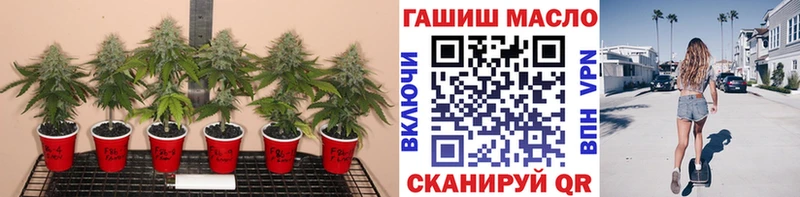 даркнет сайт  Семёнов  ТГК гашишное масло 
