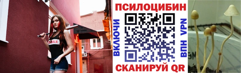 закладки  Семёнов  Галлюциногенные грибы Psilocybe 